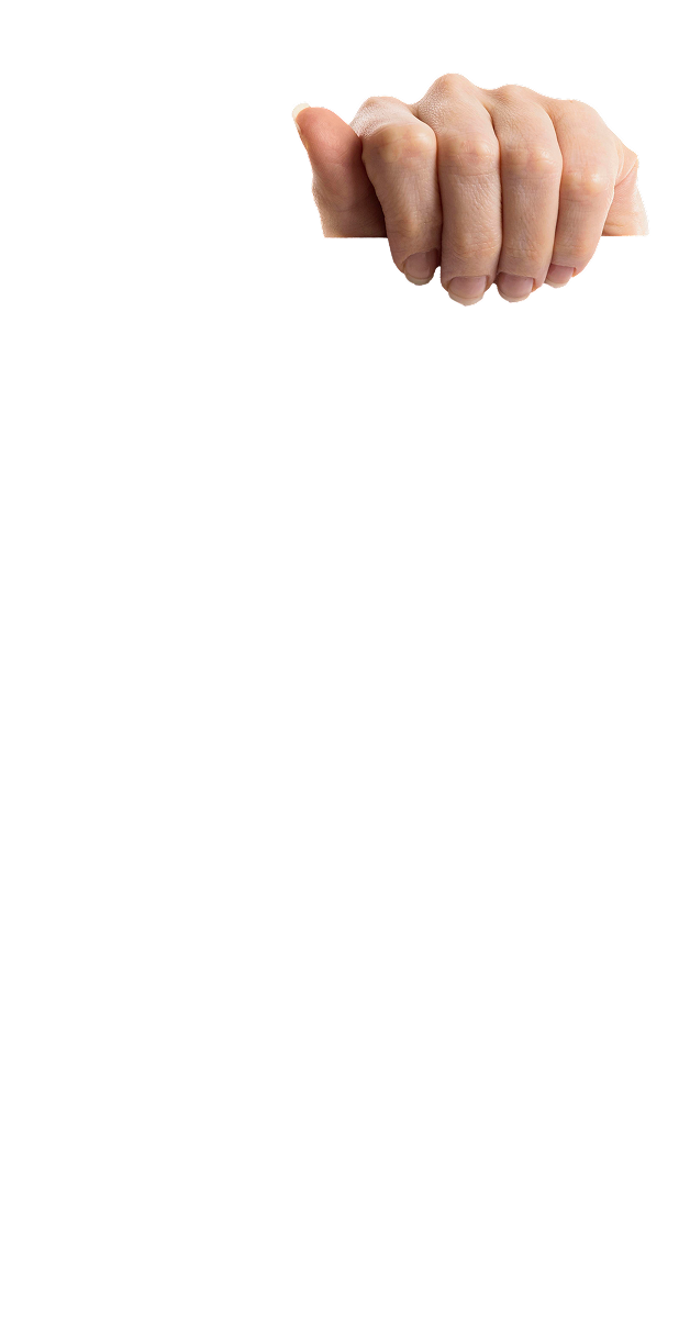 Hand illustration left