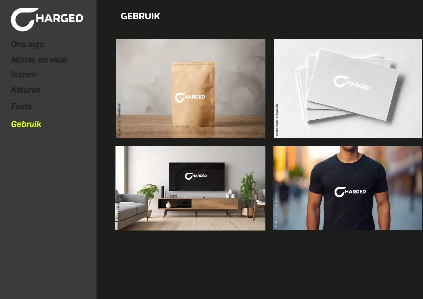 Project snapshot 10