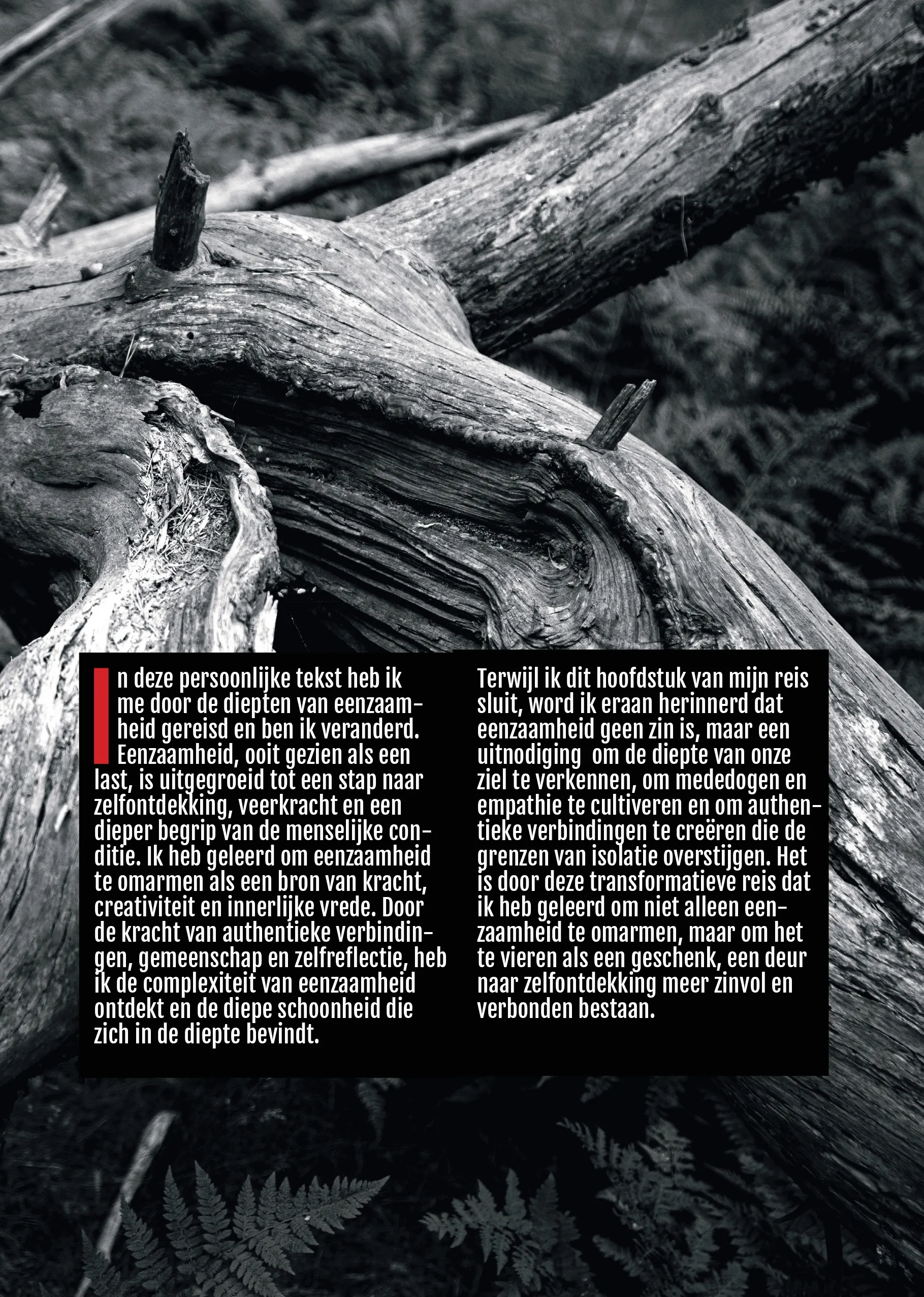 Booklet page 8