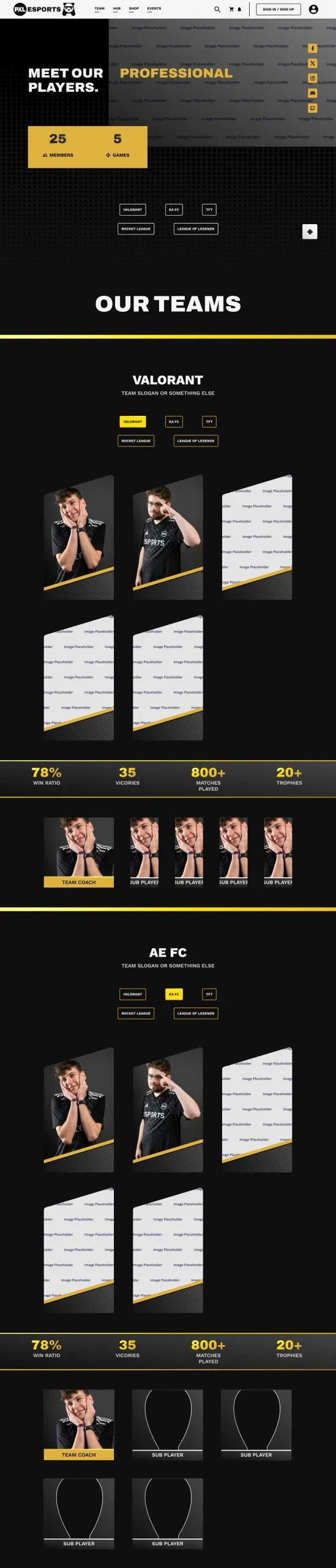 Project snapshot 2