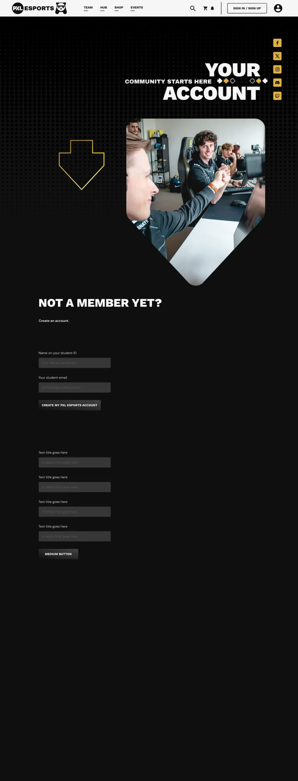 Project snapshot 4