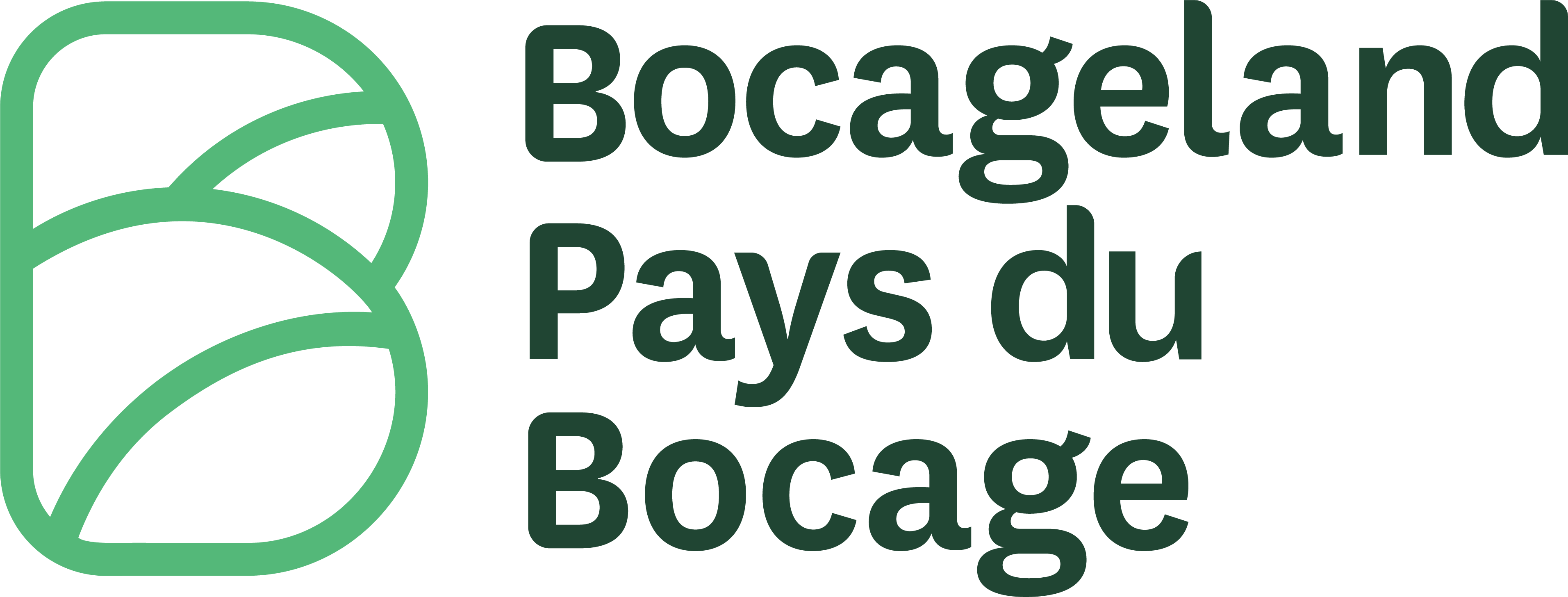 Logo and identity design applied consistently across a brand system